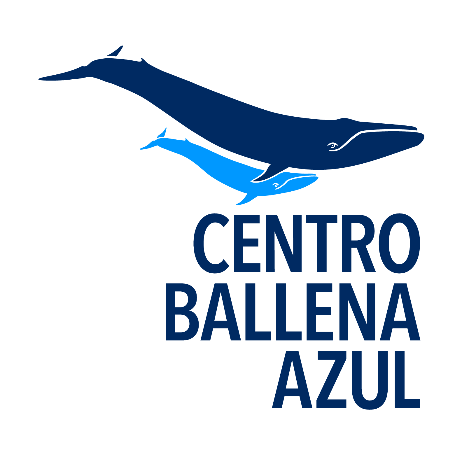 Centro Ballena Azul